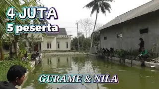 Perjuangan Berburu Gurame Monster !! yang Berakhir kurang puas