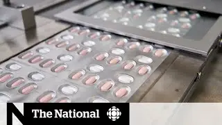 COVID-19: How significant is Pfizer's new treatment pill?