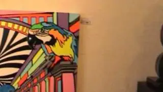 andy bluvertigo - miami artrip