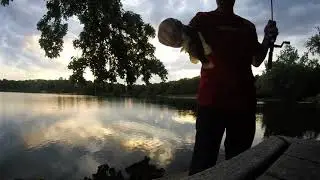 🛶Live Action Fishing - What is it??