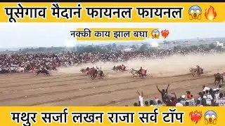 पुसेगाव हिंदकेसरी मैदान 😱❤️‍🔥फायनल चा निकाल कोणी घेतला 😱#mathur3394 #बकासुर6300 #bailgadasharyat 