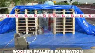 Fumigation Services