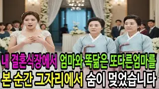 내 결혼식장에서 엄마와 똑닮은 쌍둥이엄마를 본 순간 그자리에서 숨이 멎었습니다. ㅣ감동사연ㅣ오디오북ㅣ사연라디오ㅣ인생인연ㅣ