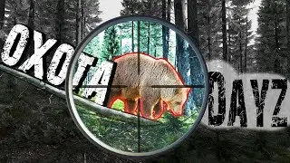 Охота на медведя в DayZ