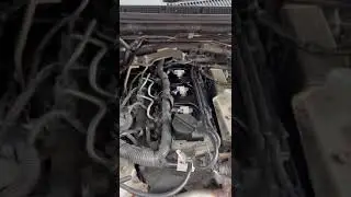 Navara d40 engine rattle