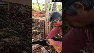 #shorts farmer from borneo 41