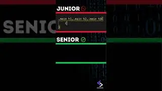 Junior Vs Senior Developer #frontend  #webdevelopment #programming #css3