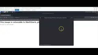 lab2 Analyze Types of Malware and application Attacks