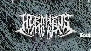 Hermaeus Mora live at The Cave 1/16/26 Chapel Hill, NC