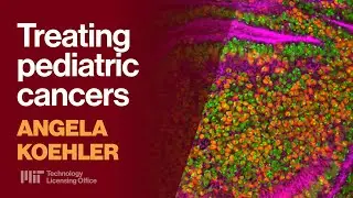 Targeting Fusion Proteins to Treat Pediatric Cancers with Angela Koehler