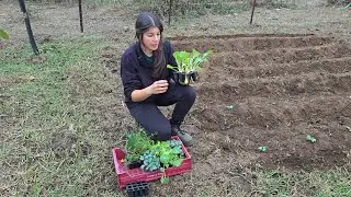 Estas son las plantas que voy a poner en el nuevo huerto de oto&ntilde;o