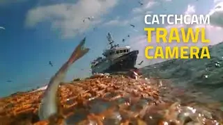Compact Underwater Camera CatchCam attached to Trawl Gear