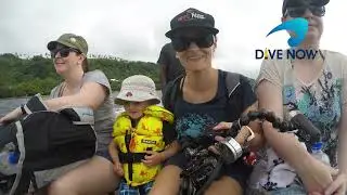 Vanuatu - Diving the USS Tucker and land based fun