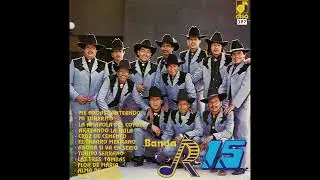 Banda R-15 - Paco Camarena