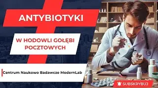 Antybiotyki w hodowli gołębi pocztowych - Centrum Naukowo Badawcze ModernLab