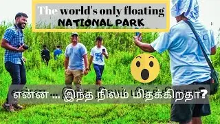 World's Only Floating National Park | This Land Bounces  When Walking or Jumping on it | Manipur |