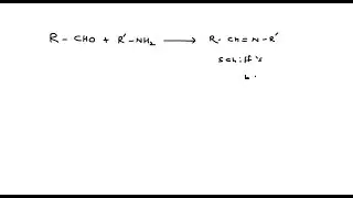 Which of the following compounds react with aldehyde to form Schiff's base? (a) 1^∘ amines (b&hellip;