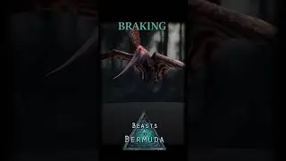 Pteranodon Showcase Part 2