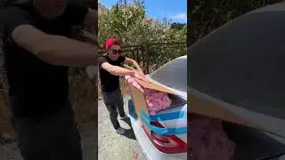 DIY Spoiler With FOAM?! 💀 When Budget Mods Go Too Far! 🚗🤣 #FastAndFoamious