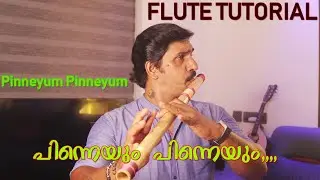Pinneyum pinneyum aaro | flute tutorial malayalam | krishna guddi | karnatic flute lesson | Chitra