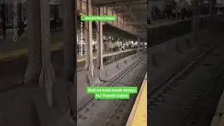 Bull on train track delays NJ Transit trains at Newark Penn Station