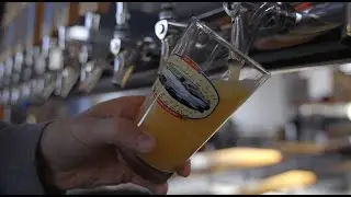 Brewery Spotlight: Glenbrook Brewery