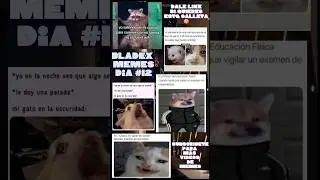 BLADE MEMES DIA #12 | #humor #memes #shrots #animales
