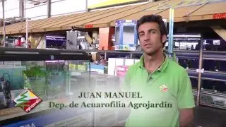 Preparaci&oacute;n de acuario - Agrojard&iacute;n Estepona