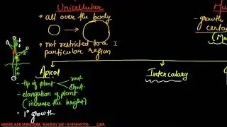 Plant Growth And Development Class 11 Biology || Plant growth is indeterminate || Types of meristem