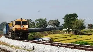 GOLDEN EMD with the CELESTIAL Bull - Indian Railways