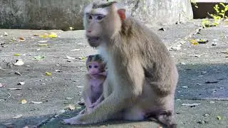 A Peaceful Life of a Mother and Her Child in a Quiet Place