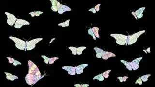 Rupert Newman: Butterflies 2009