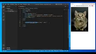 como PONER una FOTO en HTML (VISUAL STUDIO CODE) ✅