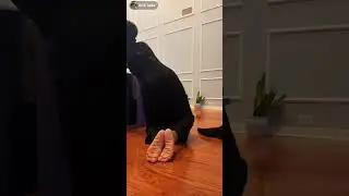 Extreme wrinkles soles Ebony 
