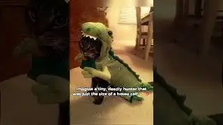 This Dinosaur Was the Size of a House Cat! 🐈🦖💀