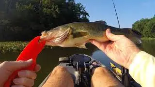 Noxontown Pond August 10, 2018