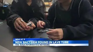 Hawaii Baptist Academy students discover new bacteria from lava tube