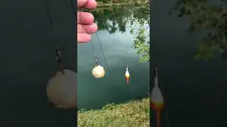 Let&rsquo;s Break BREAD - Big Fish Hack! 🎣🍞🥖🥐 #shorts