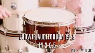 Vintage Ludwig Auditorium 14x6.5 - Brown Mahogany