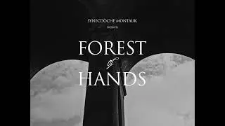 Synecdoche Montauk &mdash; Forest Of Hands (Official Acoustic Video)