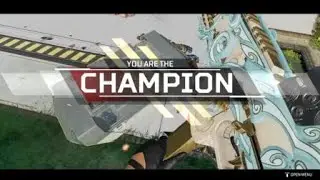 Enemies wanted to farm damage lol