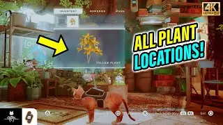 EASY GUIDE: All Plant Locations in Ant Village (Badges Trophy) | Stray Trophy Guide