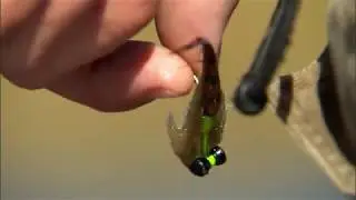 Spotting Tailing Redfish In the Gulf Coast
