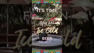 Beer, anyone?