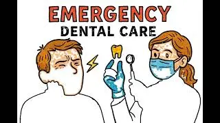 What To Do If You Break or Knock Out a Tooth | Emergency Dentist in Huntington Beach