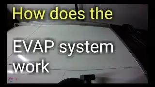 How Does A Purge System Work- The basics