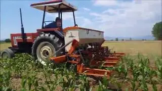 Corn Pull Furrow And Fertilization#2