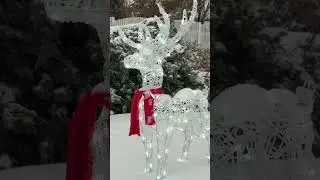 Tary a St&aacute;ňa přejou &scaron;ťastn&yacute; nov&yacute; rok! 🎉🥂