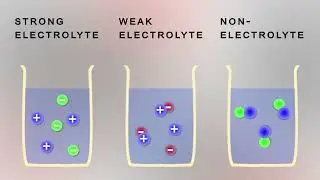 Chemical Reactions - AP Chemistry (Unit 4)