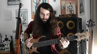 TEMPERANCE - 'VIRIDIAN' Bass Playthrough - Luca Negro